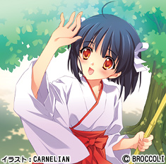 �u���� �����v �C���X�g�FCARNELIAN